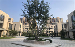 校园环境.jpg